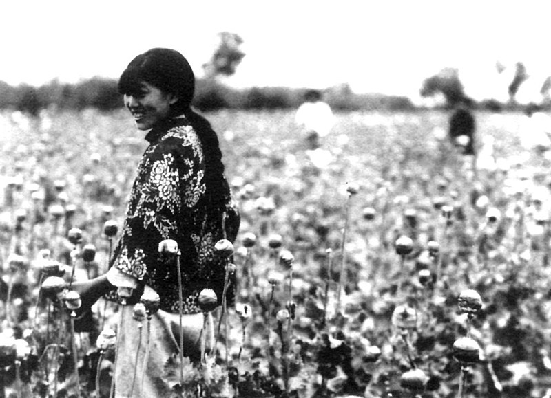 Datei:Manchukuo-poppy harvest.jpg