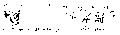 Vorschaubild der Version vom 14:36, 11. Aug. 2022