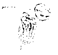 Vorschaubild der Version vom 15:51, 11. Aug. 2022