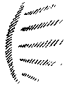 Vorschaubild der Version vom 15:44, 11. Aug. 2022