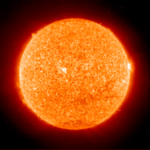 Sonne AnthroWiki