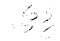 Vorschaubild der Version vom 17:48, 11. Aug. 2022
