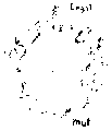 Vorschaubild der Version vom 13:07, 11. Aug. 2022