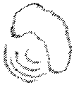 Vorschaubild der Version vom 15:07, 11. Aug. 2022
