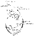 Vorschaubild der Version vom 16:23, 11. Aug. 2022