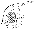 Vorschaubild der Version vom 12:08, 11. Aug. 2022