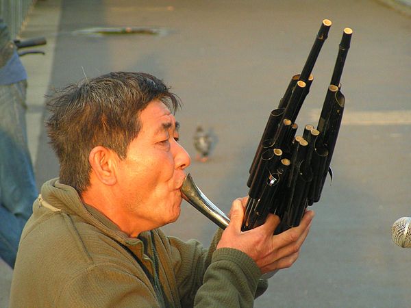 Blasinstrument – AnthroWiki