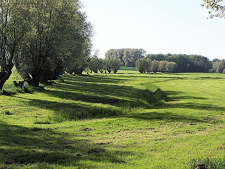wiese-gr-nland-anthrowiki