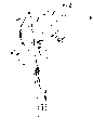 Vorschaubild der Version vom 16:33, 11. Aug. 2022