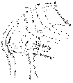 Vorschaubild der Version vom 13:59, 11. Aug. 2022