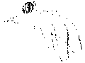Vorschaubild der Version vom 14:13, 11. Aug. 2022