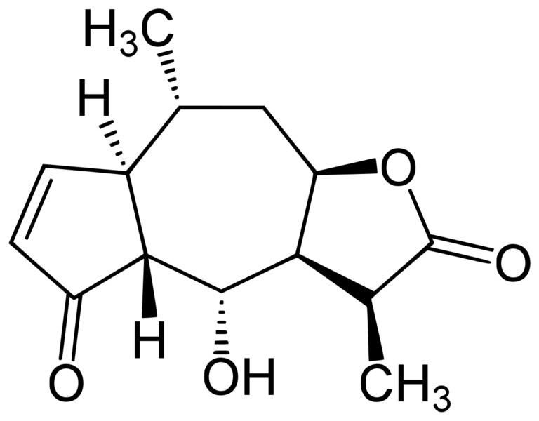 Datei:1240px-Plenolin.svg.png