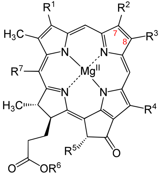 Datei:1024px-Bacteriochlorophyll.svg.png