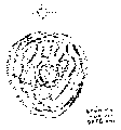Vorschaubild der Version vom 16:30, 11. Aug. 2022