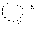 Vorschaubild der Version vom 17:47, 11. Aug. 2022
