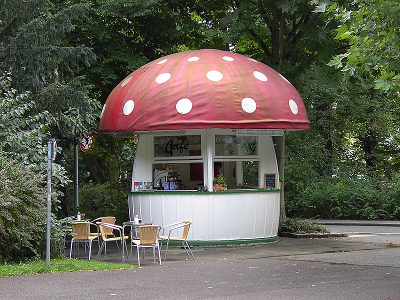 Datei:Milchschwammerl Regensburg.jpg