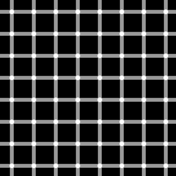 Datei:1024px-Grid illusion.svg.png