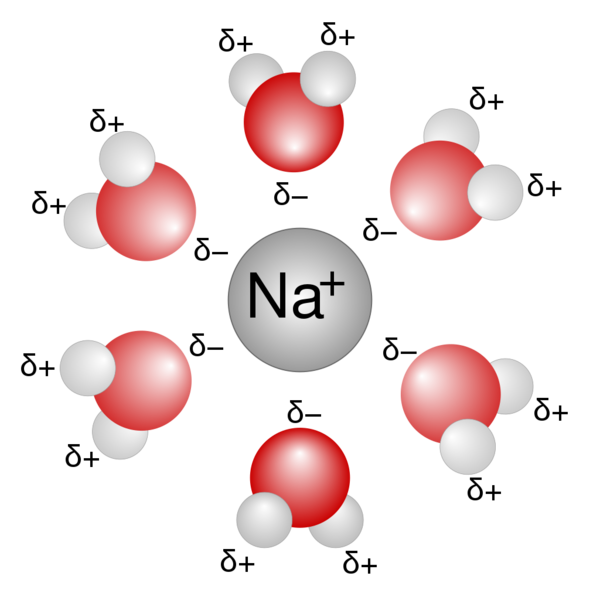 Datei:1024px-Na+H2O.svg.png