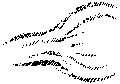 Vorschaubild der Version vom 12:28, 11. Aug. 2022