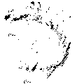 Vorschaubild der Version vom 17:28, 11. Aug. 2022