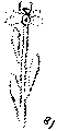 Vorschaubild der Version vom 14:06, 11. Aug. 2022