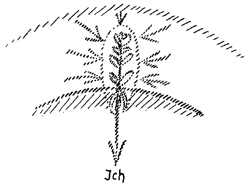 Datei:1599px-GA98 144.gif