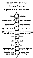 Vorschaubild der Version vom 17:20, 11. Aug. 2022