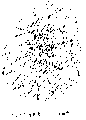 Vorschaubild der Version vom 17:21, 11. Aug. 2022