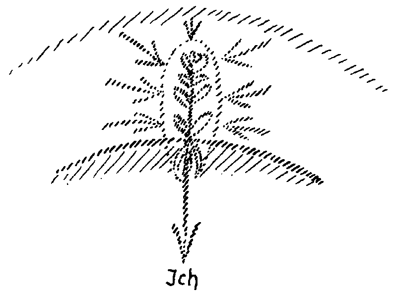 Datei:1024px-GA98 144.gif