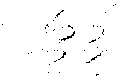 Vorschaubild der Version vom 17:48, 11. Aug. 2022
