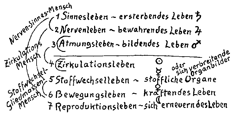 Datei:1200px-GA208 089.gif