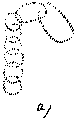 Vorschaubild der Version vom 16:25, 11. Aug. 2022
